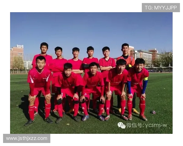 南京足球队在联赛中的团队协作表现分析与点评